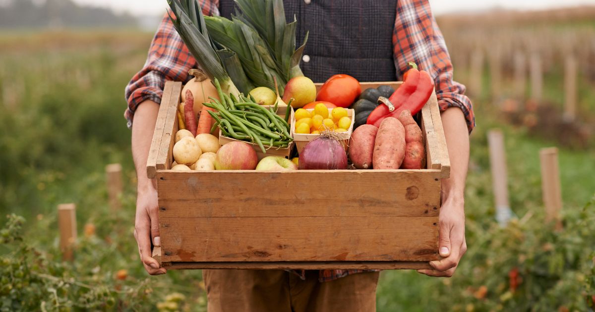 Homestead Vegetable Garden