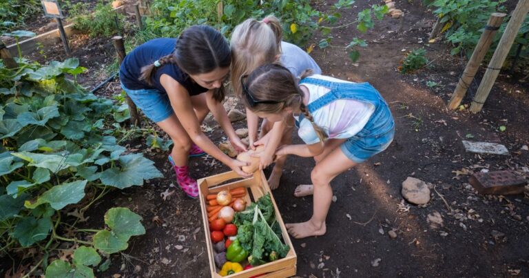 Homestead Gardening: Green Thumbs and Open Spaces