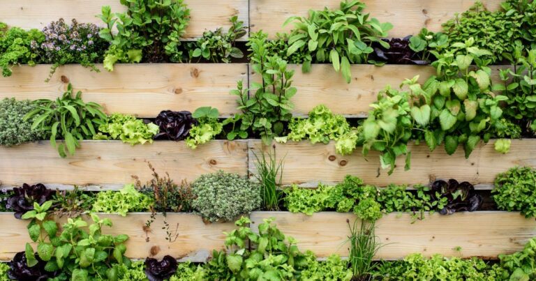 How Do Vertical Gardens Work? Maximizing Small Spaces