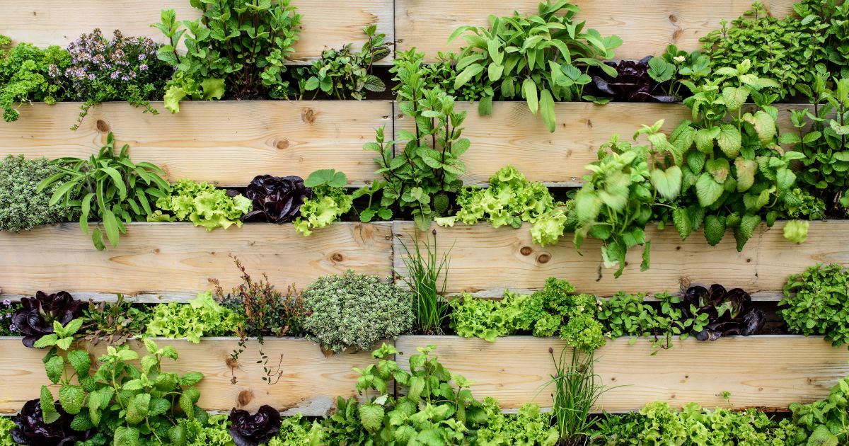 How Do Vertical Gardens Work